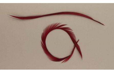 Pluma Rígida 170mm Longitud Granate