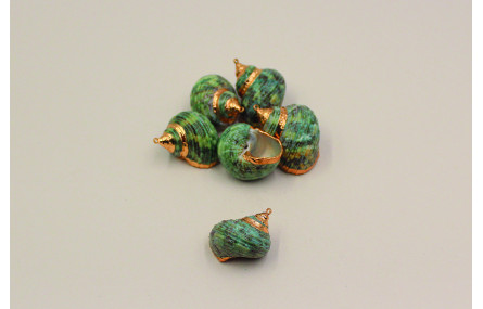 Caracola verdosa con bordes Oro 30*27mm