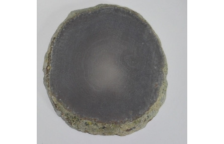 Chapa Agatha mate 9,5cms GRIS