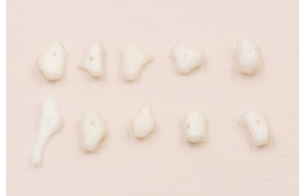 Ristra de 40cms de Chips Coral Blanco de 10-12mm