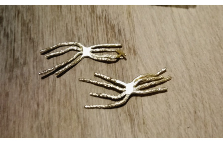 Coral araña 30*10mm Oro Mate