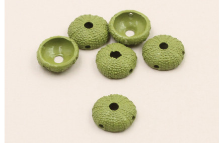 Caracol de Mar diam 10mm *4mm esmalte verde
